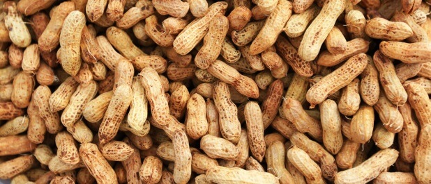 Peanut Food Allergies